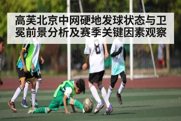 高芙北京中网硬地发球状态与卫冕前景分析及赛季关键因素观察